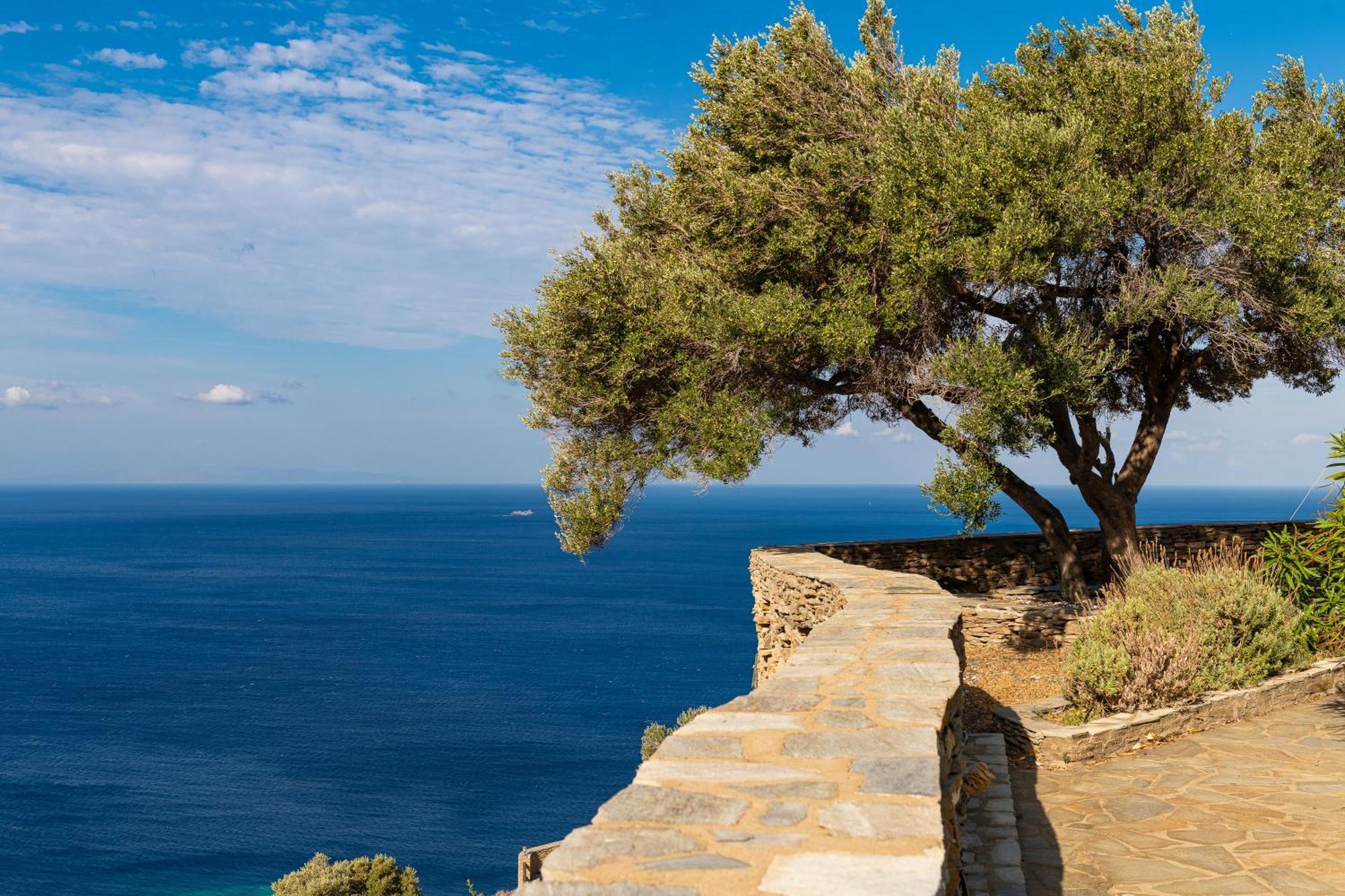 Andros Serenity Retreat - Adults Only Episkopion  المظهر الخارجي الصورة